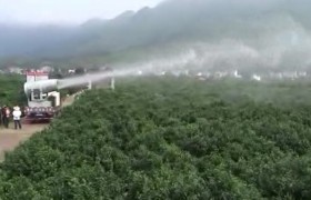廣西賀州大型果園林植保除蟲(chóng)